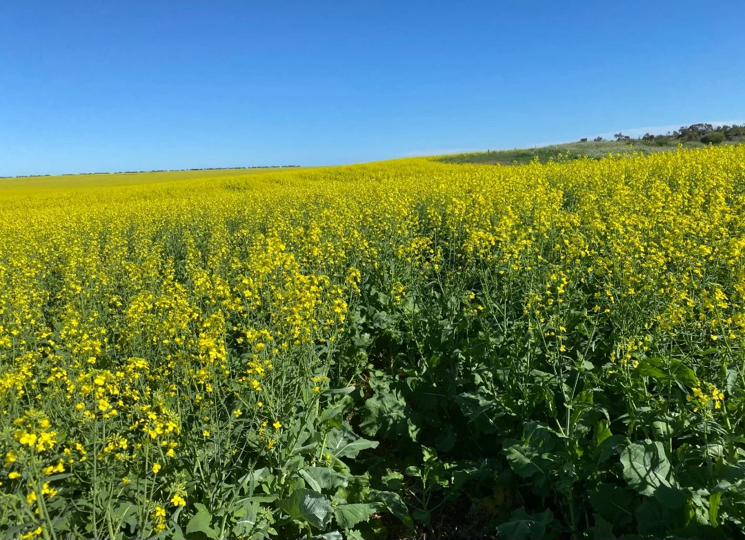 Additional image 27 of Valentine Road, Wicherina WA 6532