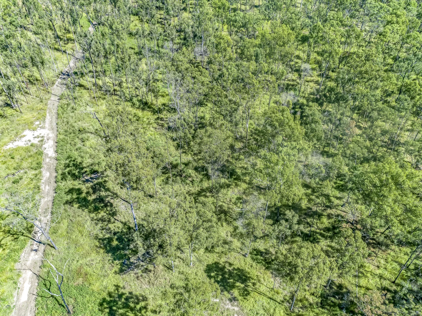 Additional image 8 of 151 Findlay Road, Duingal QLD 4671