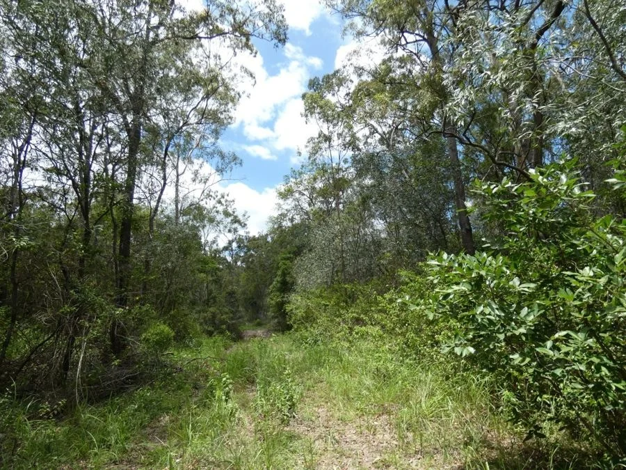 Additional image 16 of Lot 41 Moolyung Road, Waterloo QLD 4673