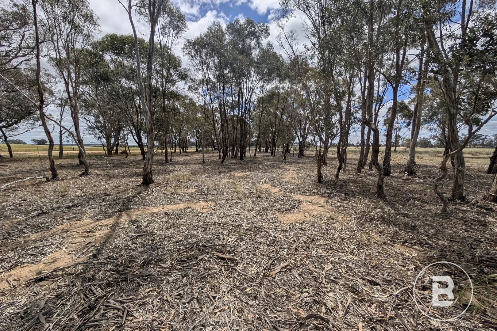 Additional image 10 of 5a Logan-Bealiba Road, Cochranes Creek VIC 3475