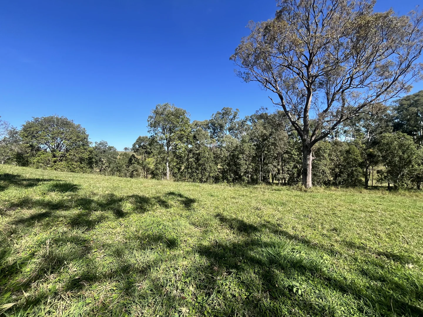 Additional image 10 of 1A Yarraman Drive, Kyogle NSW 2474
