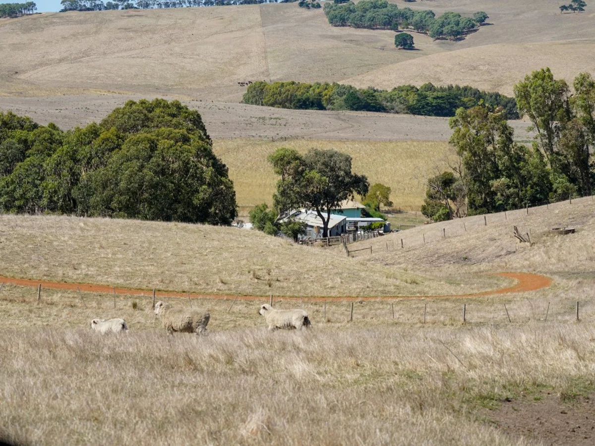 Additional image 3 of 589 Paschendale Road, Paschendale VIC 3315