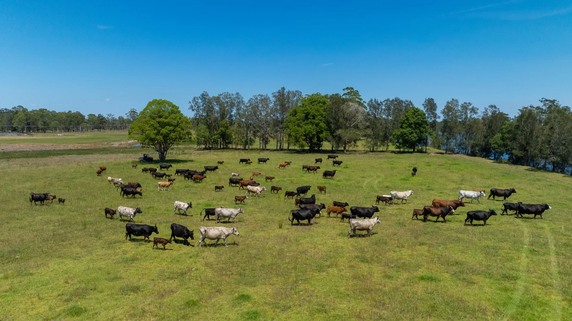 Additional image 5 of 79, 81 & 249 Elliots Road, Nabiac NSW 2312