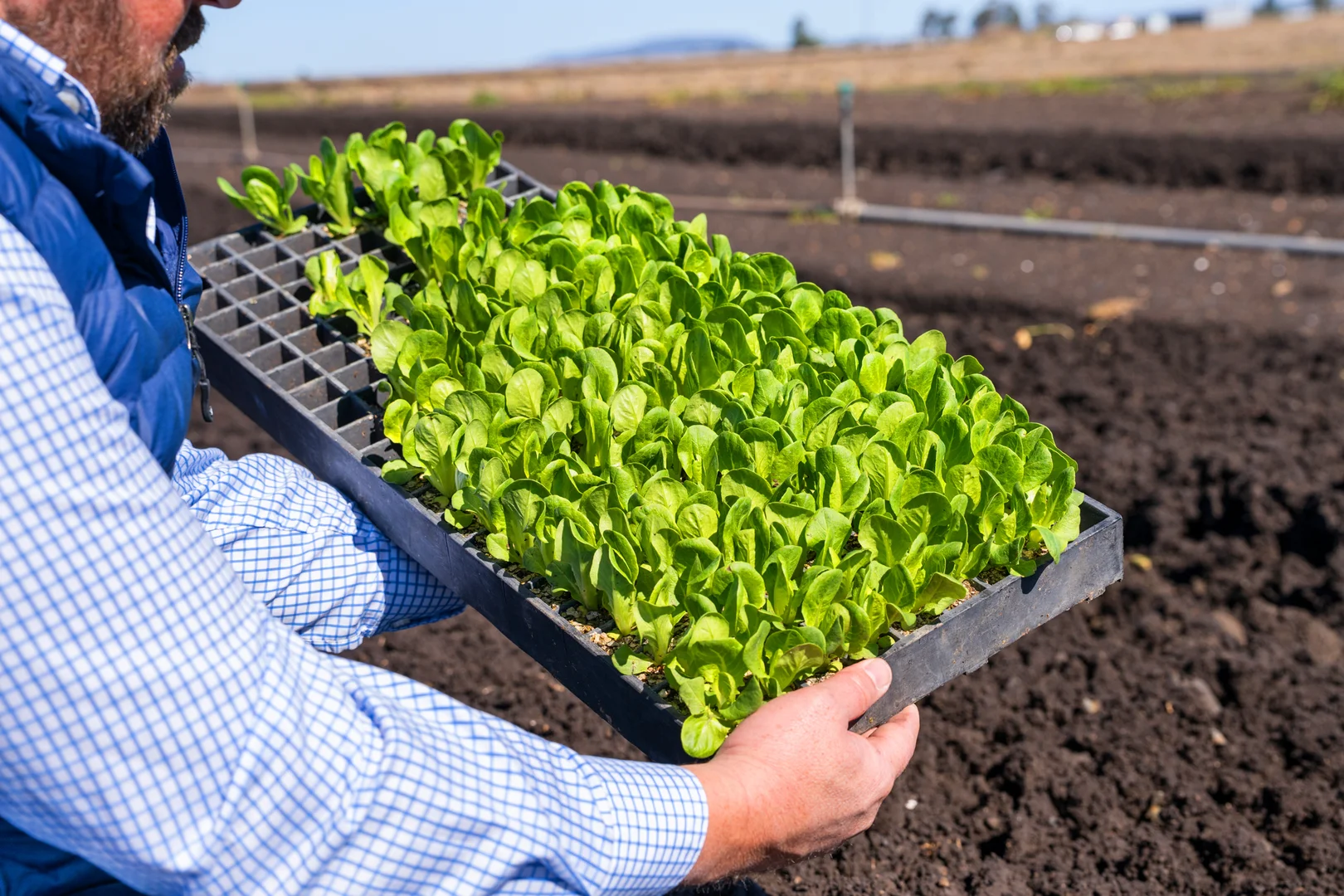 Additional image 9 of "Westview" 189 Toowoomba-Karara Road, Finnie QLD 4350