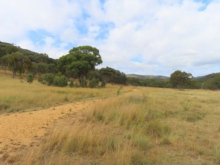 Additional image 8 of Lot 13 Saxby Road, Ballandean QLD 4382