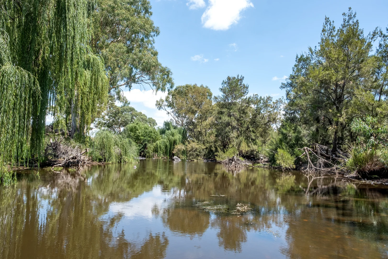 Additional image 21 of 1198 Bukkulla Road, Ashford NSW 2361