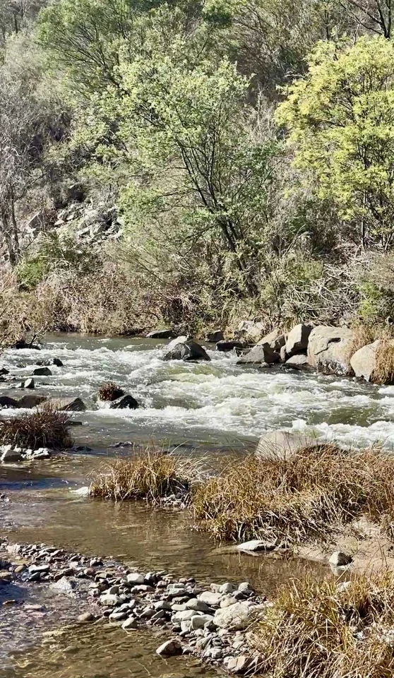 Additional image 10 of 317 Ambyne Road, Deddick Valley VIC 3888