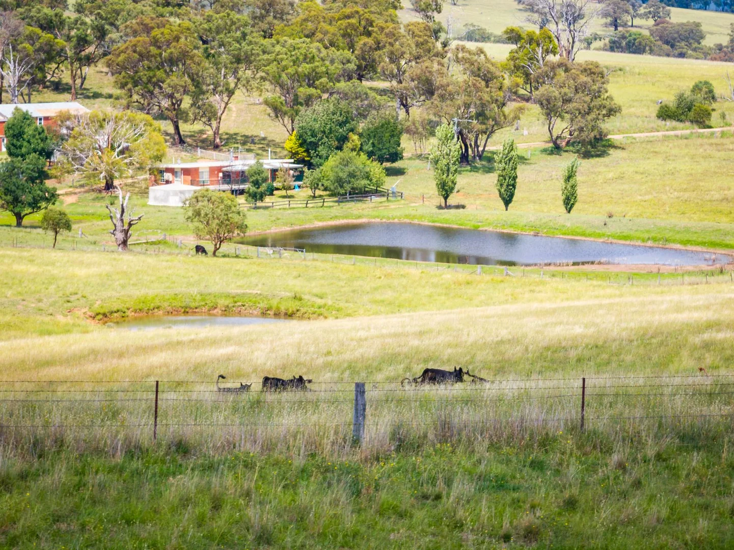 Additional image 39 of 188 Burkes Lane, Brewongle NSW 2795