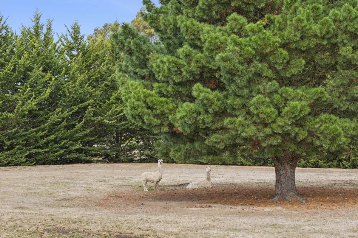 Additional image 27 of 47 Melbourne Road, Gisborne VIC 3437