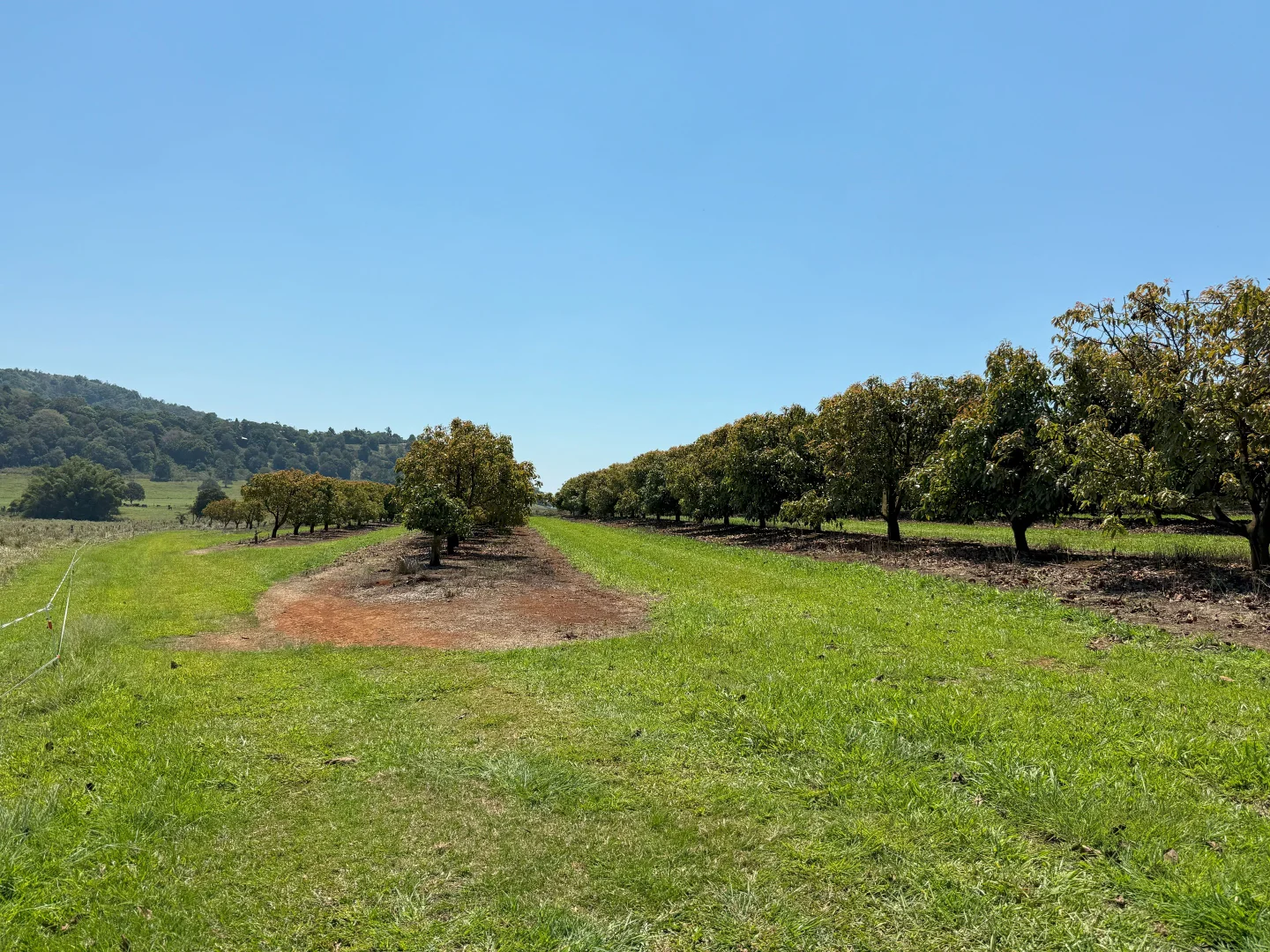 Additional image 72 of 767 Peeramon Road, Peeramon QLD 4885