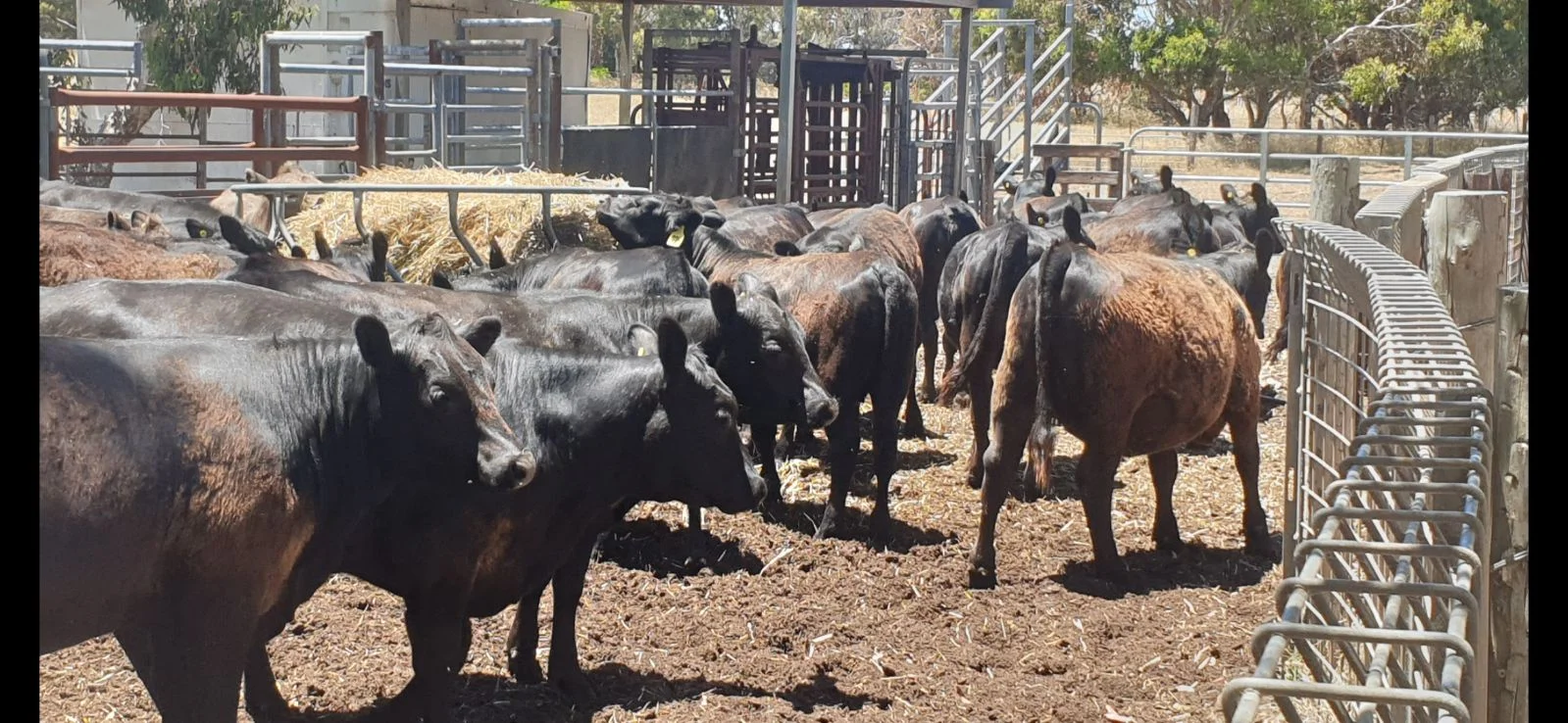 Additional image 40 of 26 Griffin Road, Clayton Bay SA 5256