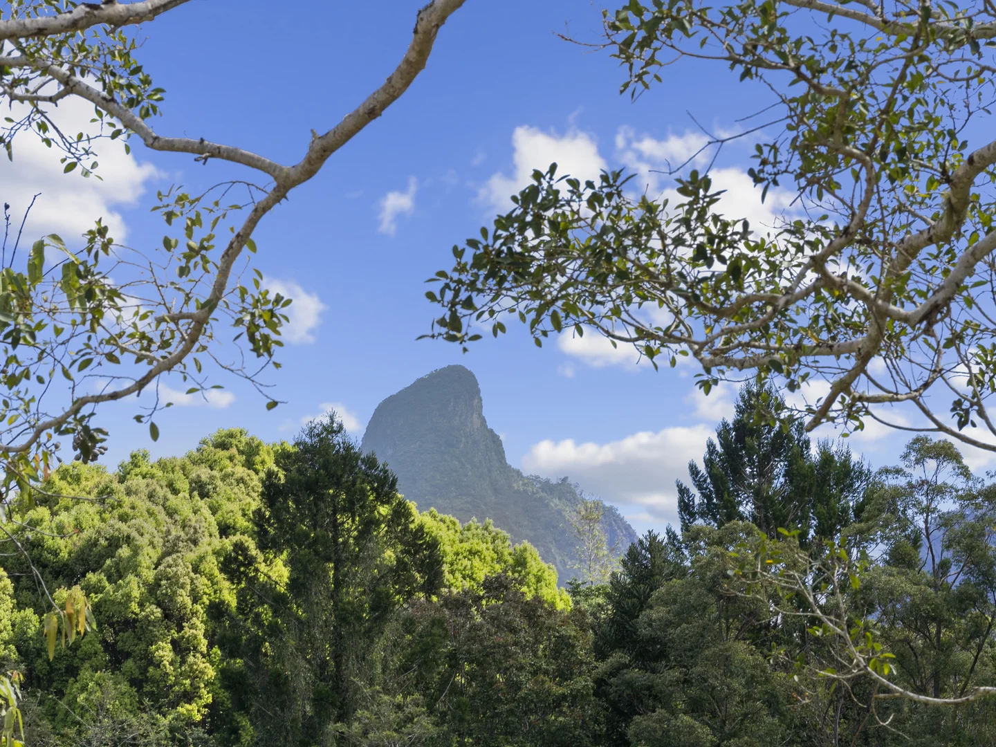 Additional image 30 of 64 Mount Warning Road, Mount Warning NSW 2484