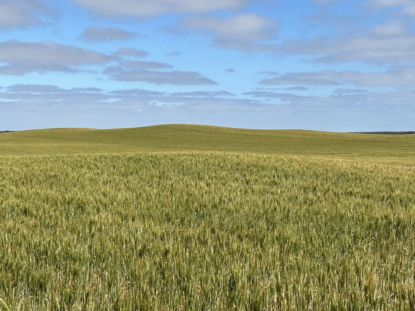 163 McAskill Road, Karkoo SA 5632