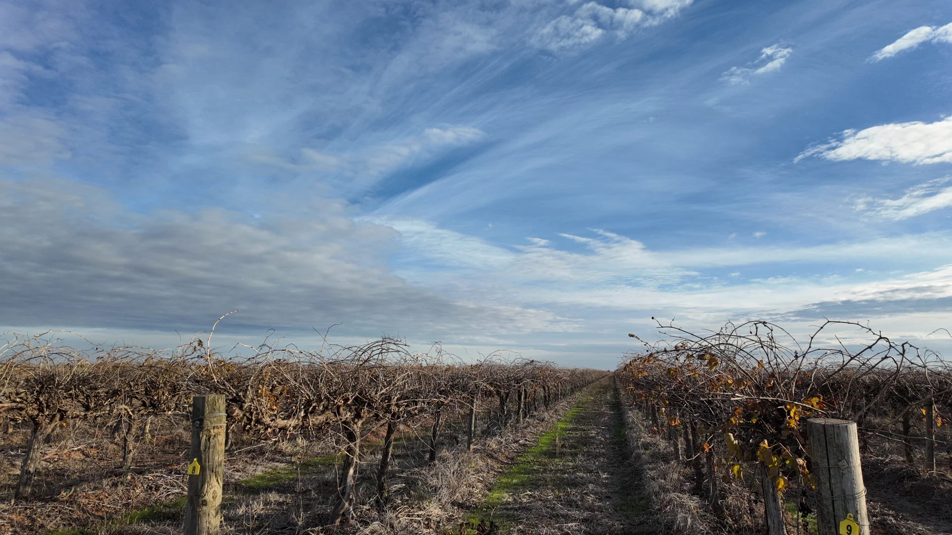 Additional image 10 of 1802 Old Well Road, Tharbogang NSW 2680