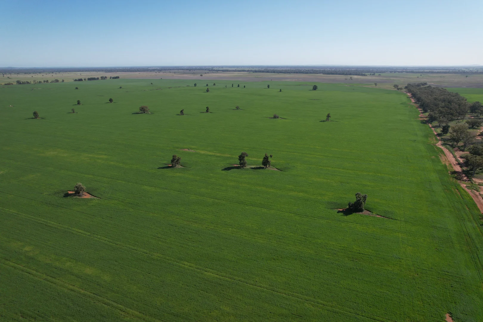 Additional image 23 of 762 Cornells Road, Condobolin NSW 2877