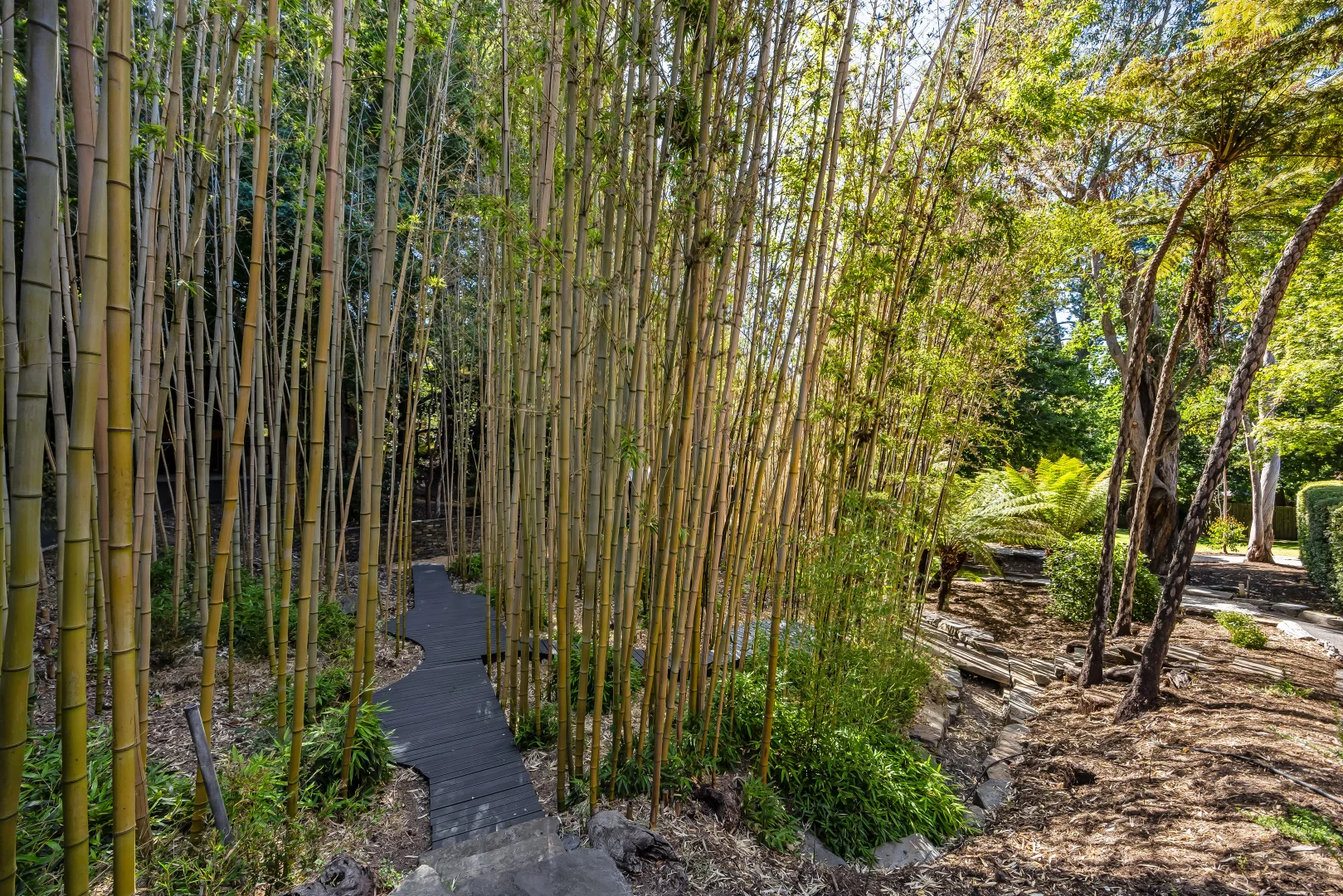 Additional image 60 of 15 Longwood Road, Stirling SA 5152