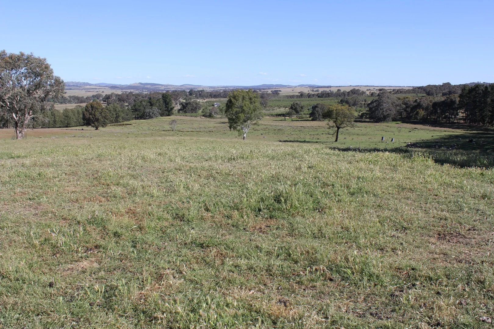 Additional image 5 of 48 & 98/413 Flacknell Creek Road, Gunning NSW 2581