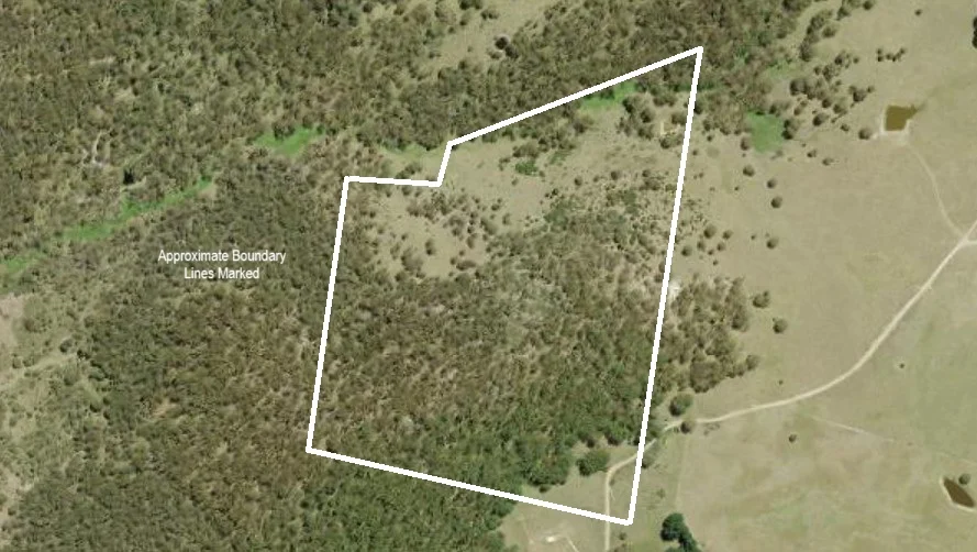 Additional image 22 of 153 Blue Bush Road, Wyanbene NSW 2622