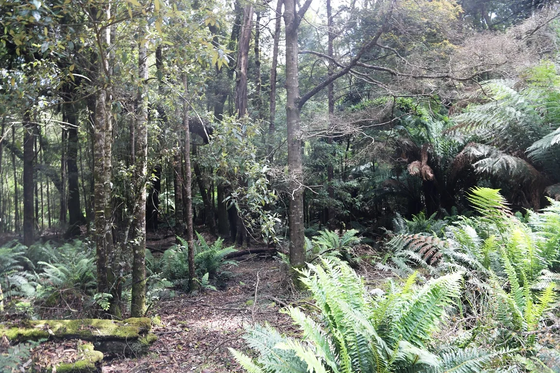 Additional image 4 of 1 Croles Road, Trowutta TAS 7330