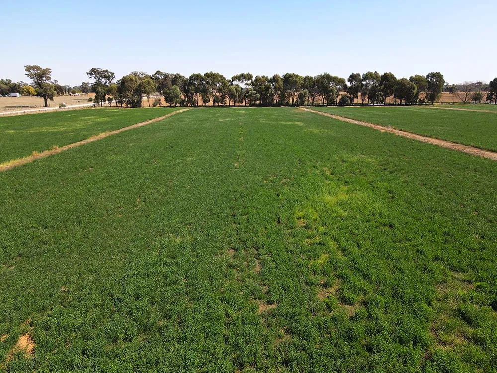 Additional image 5 of 220 McGrath Road, Stanhope VIC 3623