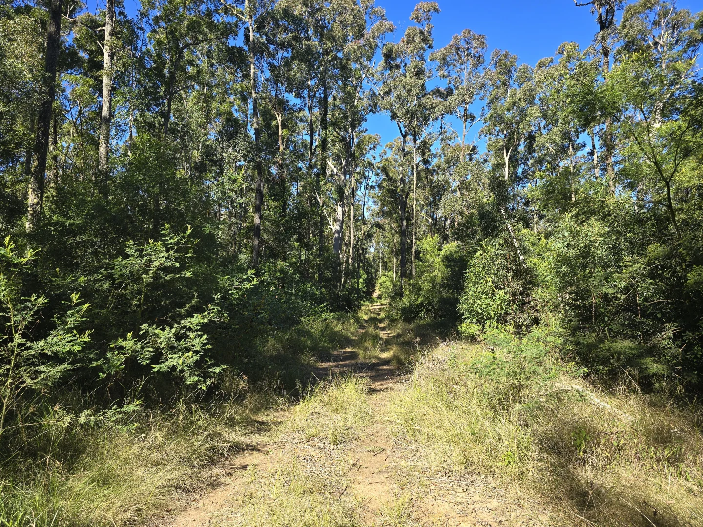 Additional image 9 of 0 SUNDAY CREEK ROAD, Jimna QLD 4515