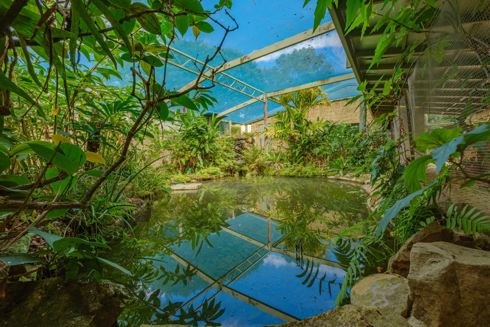 Additional image 17 of 1214 Tin Can Bay Rd, Ross Creek QLD 4570