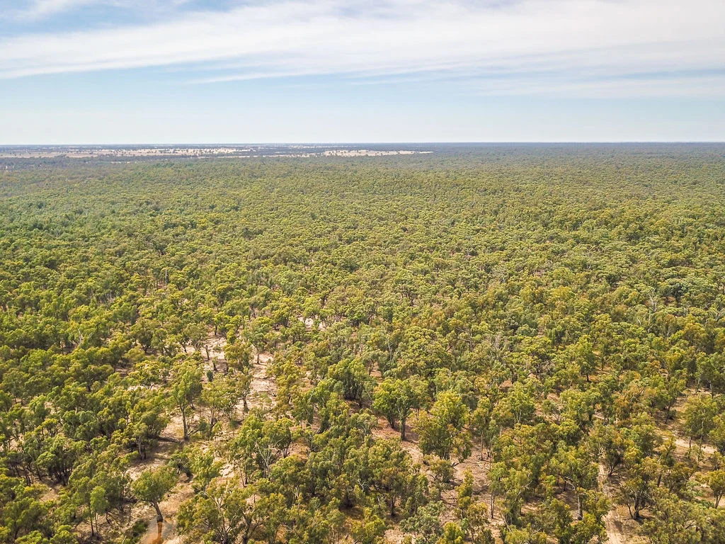 Additional image 19 of Lot 19, 20, 23 & 24 - 650 Yarraman Road, Moama NSW 2731