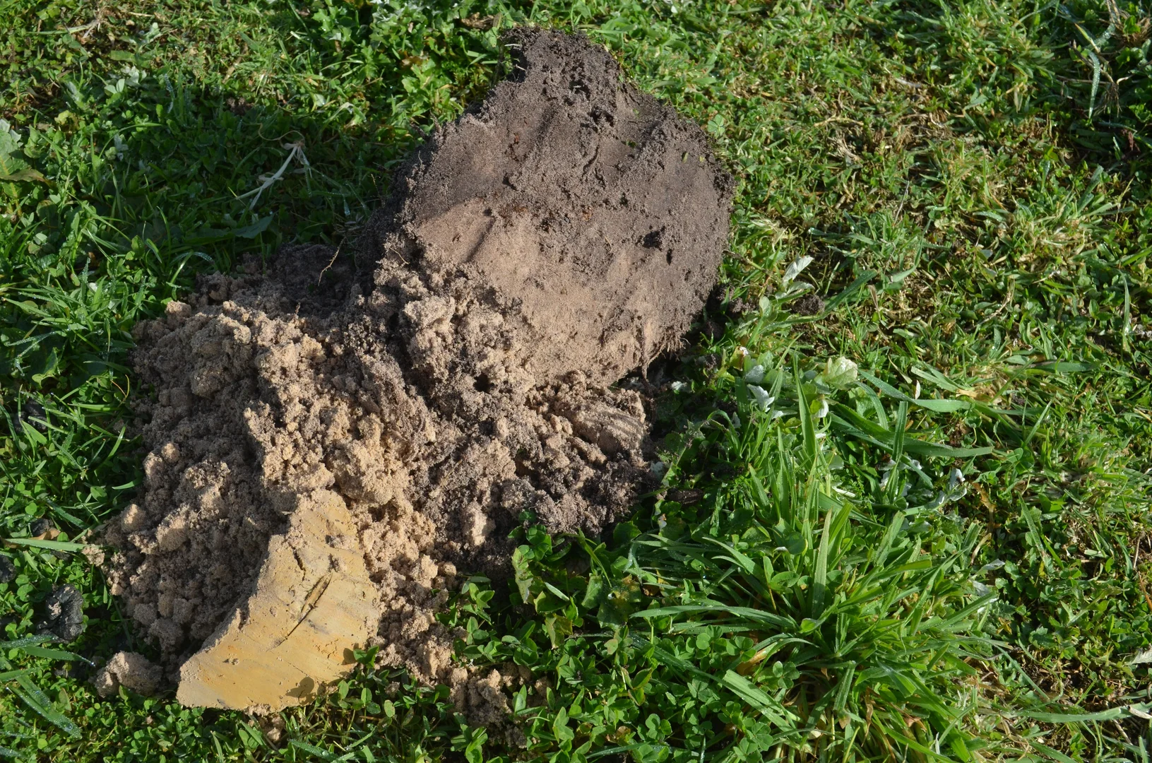 Additional image 6 of 5422 Clay Wells Road, Millicent SA 5280