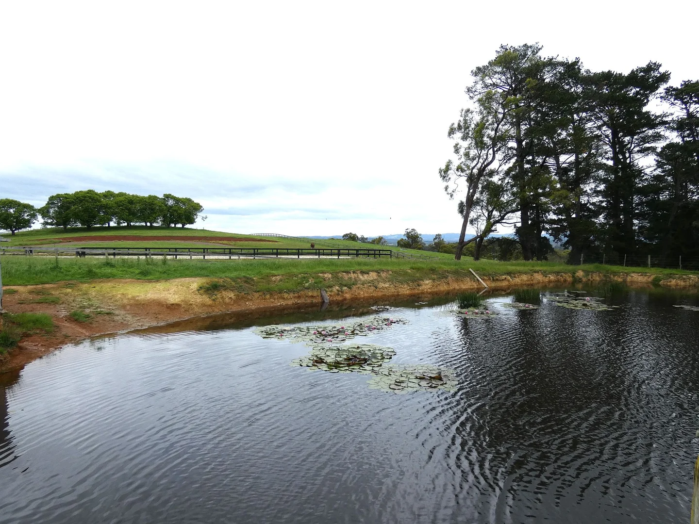 Additional image 2 of 125 Sheepstation Creek Road, Yellingbo VIC 3139