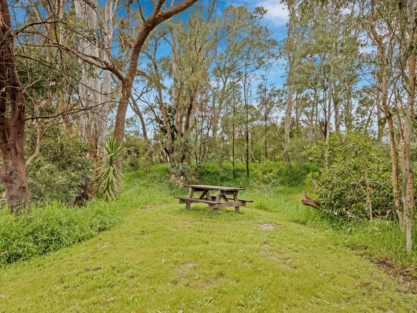 Additional image 16 of 6147 Mansfield-Whitfield Road, Whitfield VIC 3733