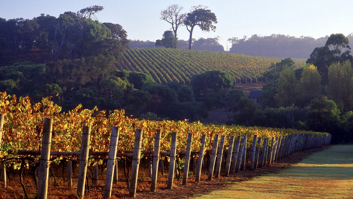 Additional image 11 of 1676 Caves Road, Dunsborough WA 6281