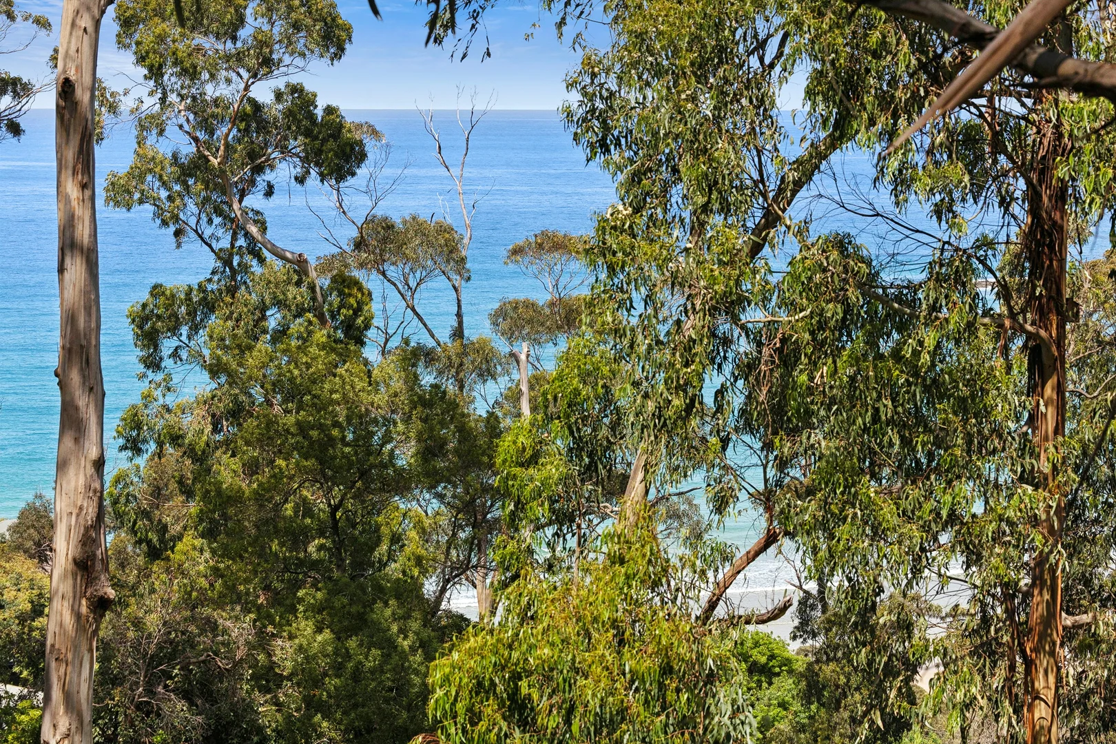 Additional image 4 of 8 Durimbil Avenue, Wye River VIC 3234