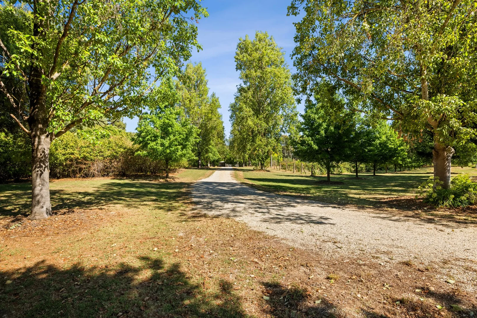 Additional image 26 of 6300 Great Alpine Road, Eurobin VIC 3739