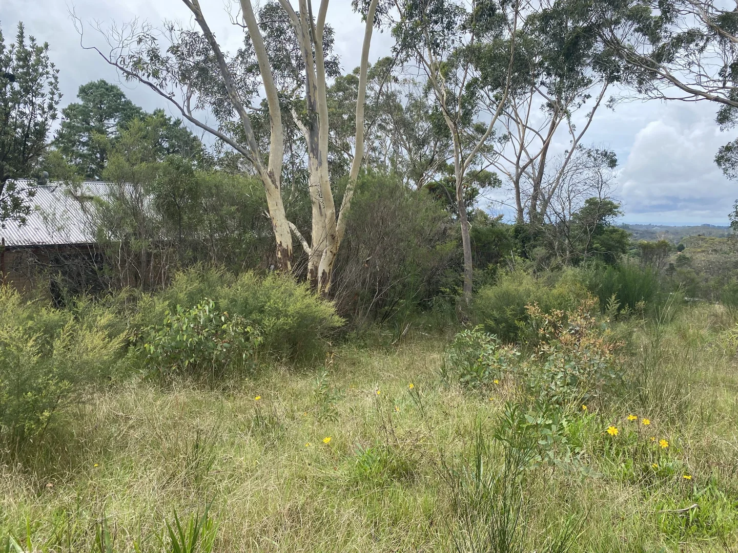 Additional image 4 of 1 Woodlands Road, Katoomba NSW 2780