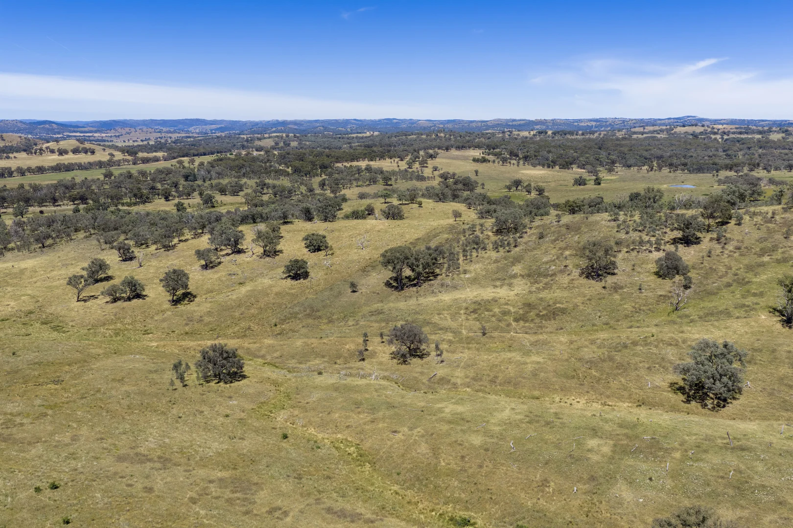 Additional image 20 of 499 Mebul Road, Gulgong NSW 2852