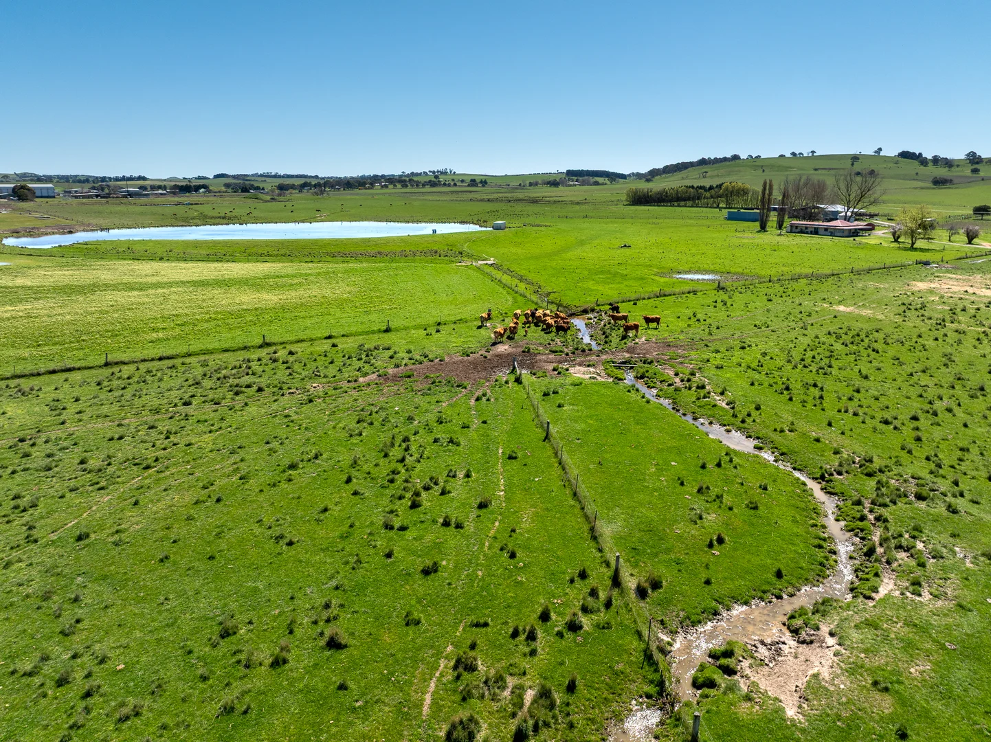 Additional image 10 of 3580 Mid Western Highway, Blayney NSW 2799