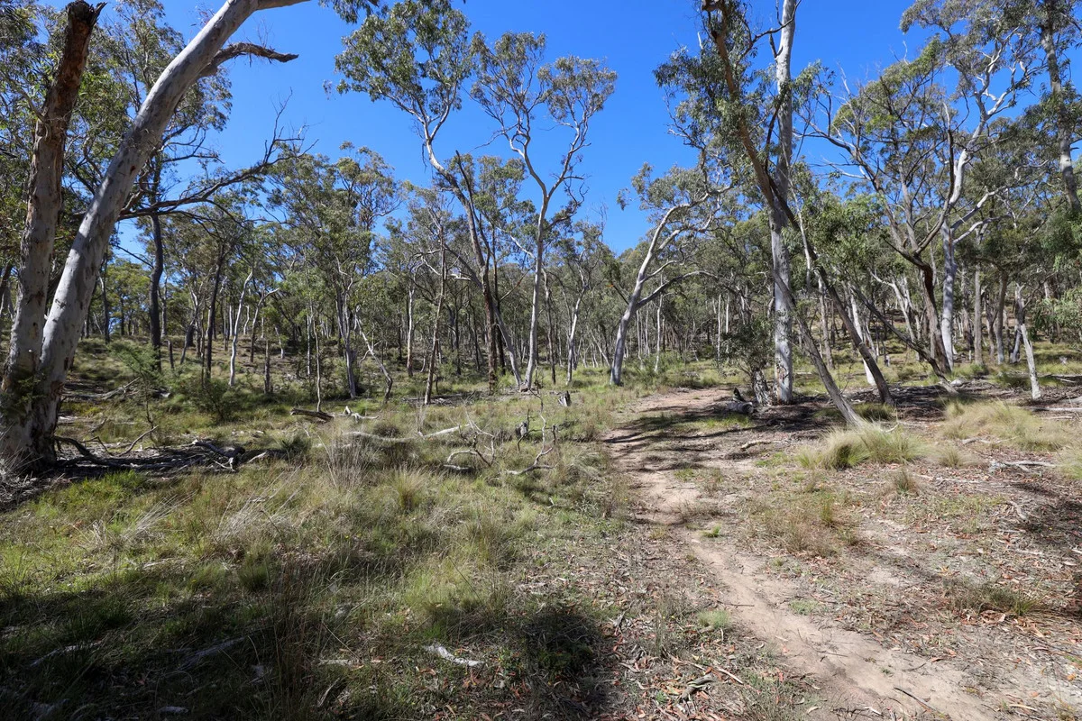 Additional image 7 of 494 Jerralong Road, Oallen NSW 2622