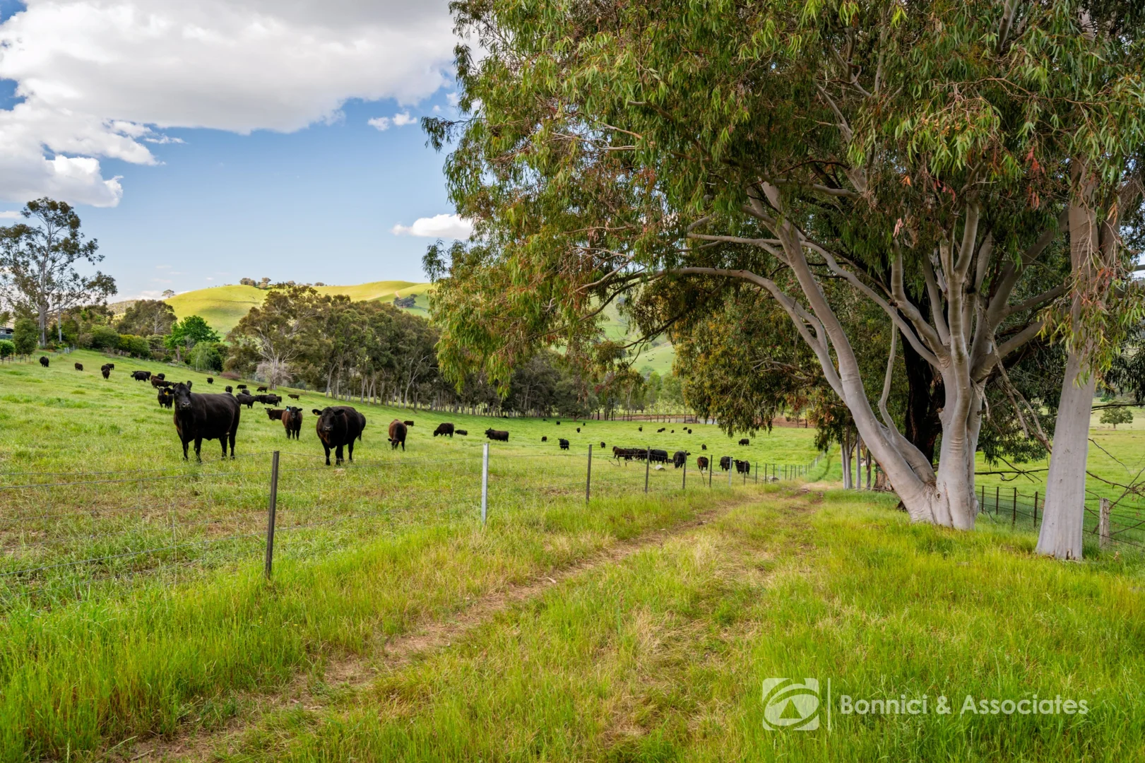 Additional image 7 of Lot 2/PS917939 Indigo Creek Road, Indigo Valley VIC 3688