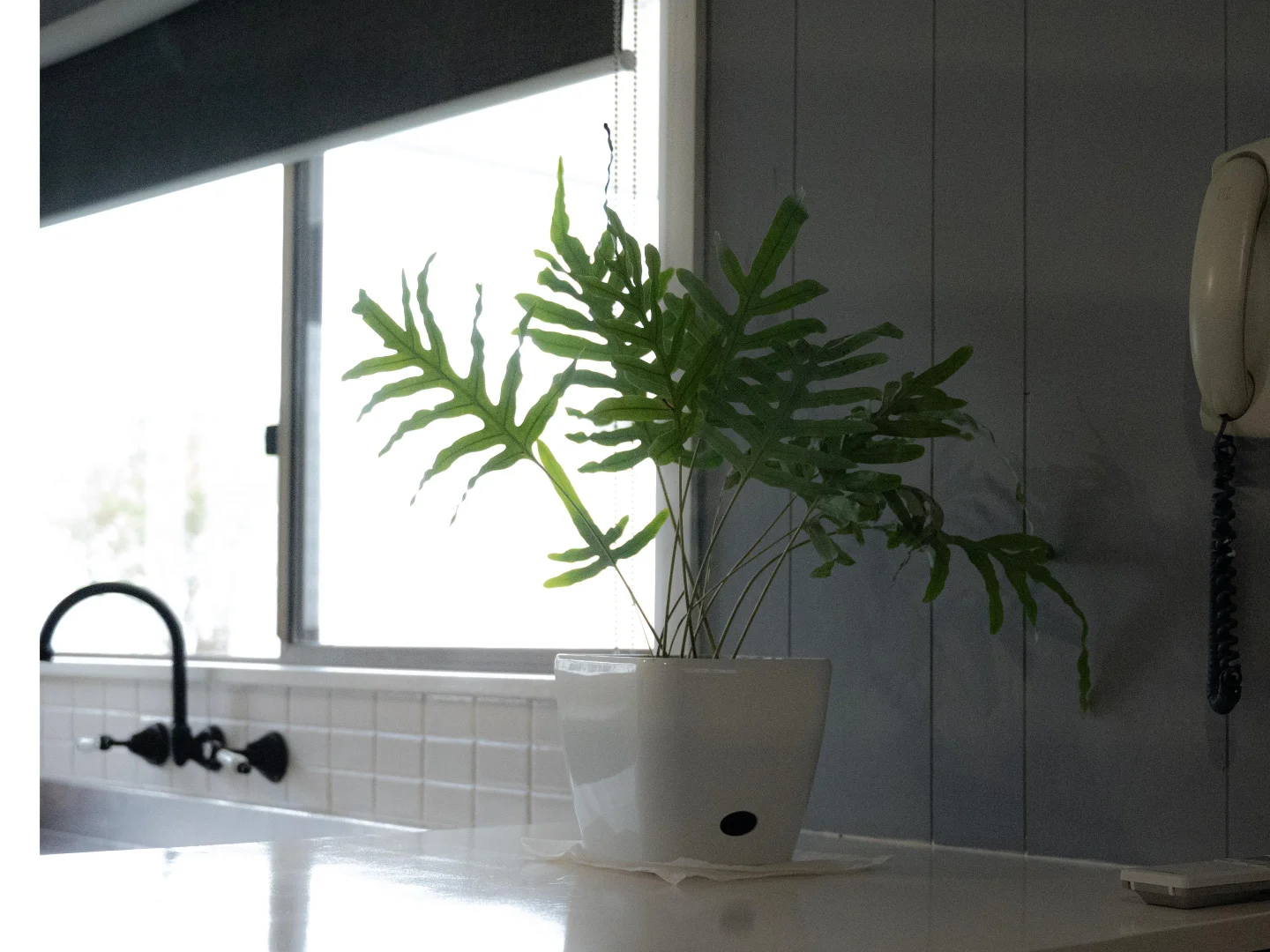 Additional image 5 of 29 Edward Street, Currie TAS 7256