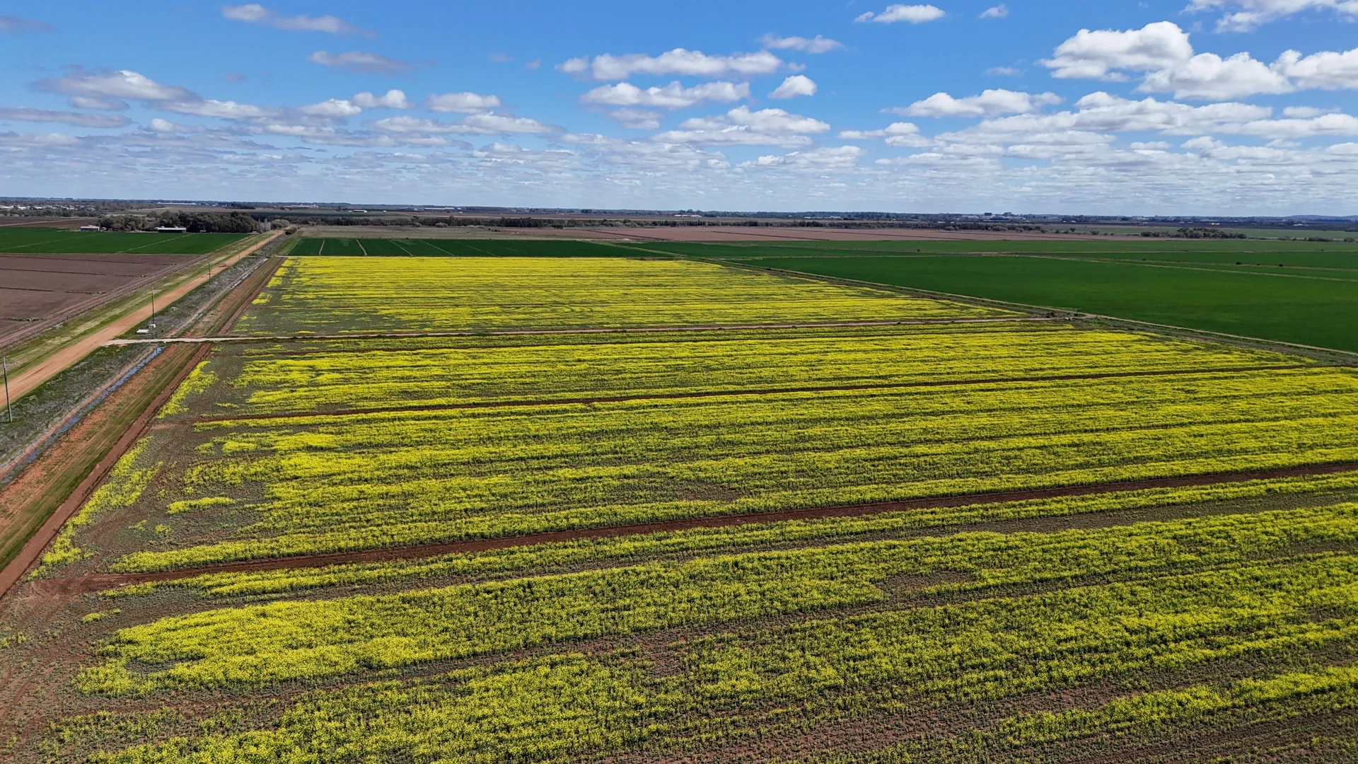 Additional image 7 of Farm 2526/408 Cashmere Road, Widgelli NSW 2680