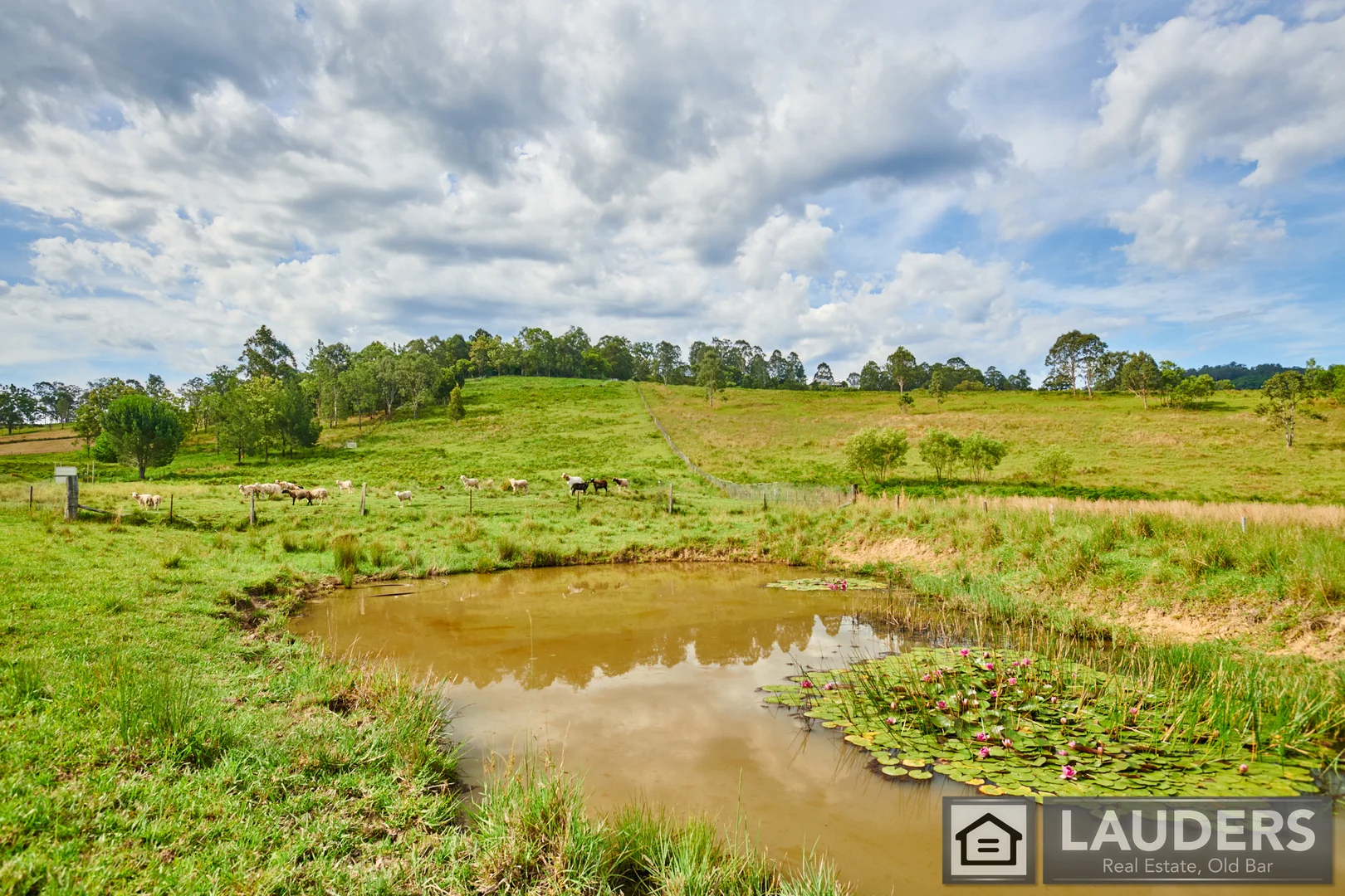 Additional image 32 of 2264 Bundook Road, Bundook NSW 2422