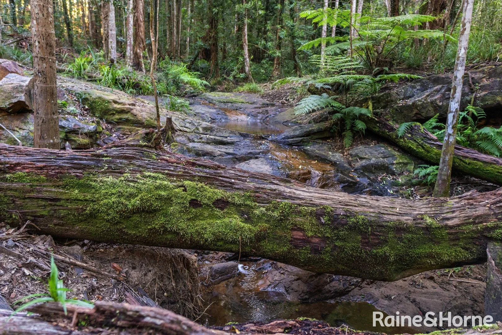 Additional image 18 of 138 Tallgum Avenue, Doonan QLD 4562