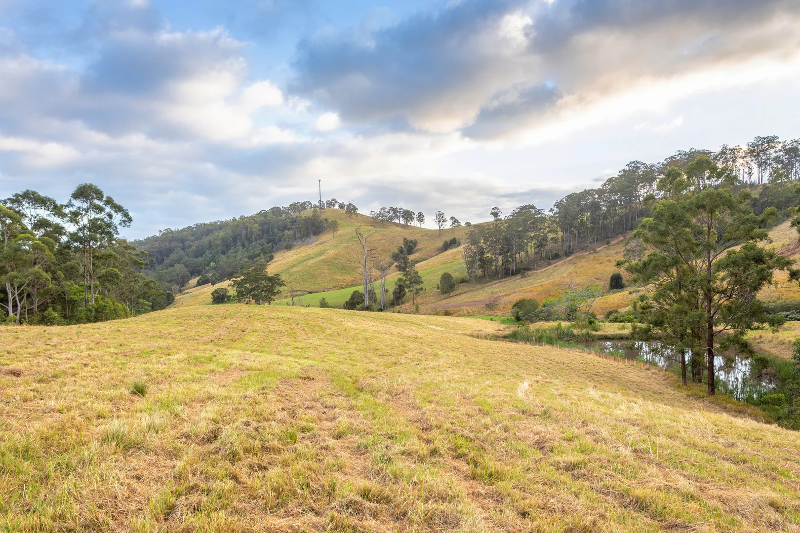 Additional image 20 of 152 Red Gully Road, Burrell Creek NSW 2429