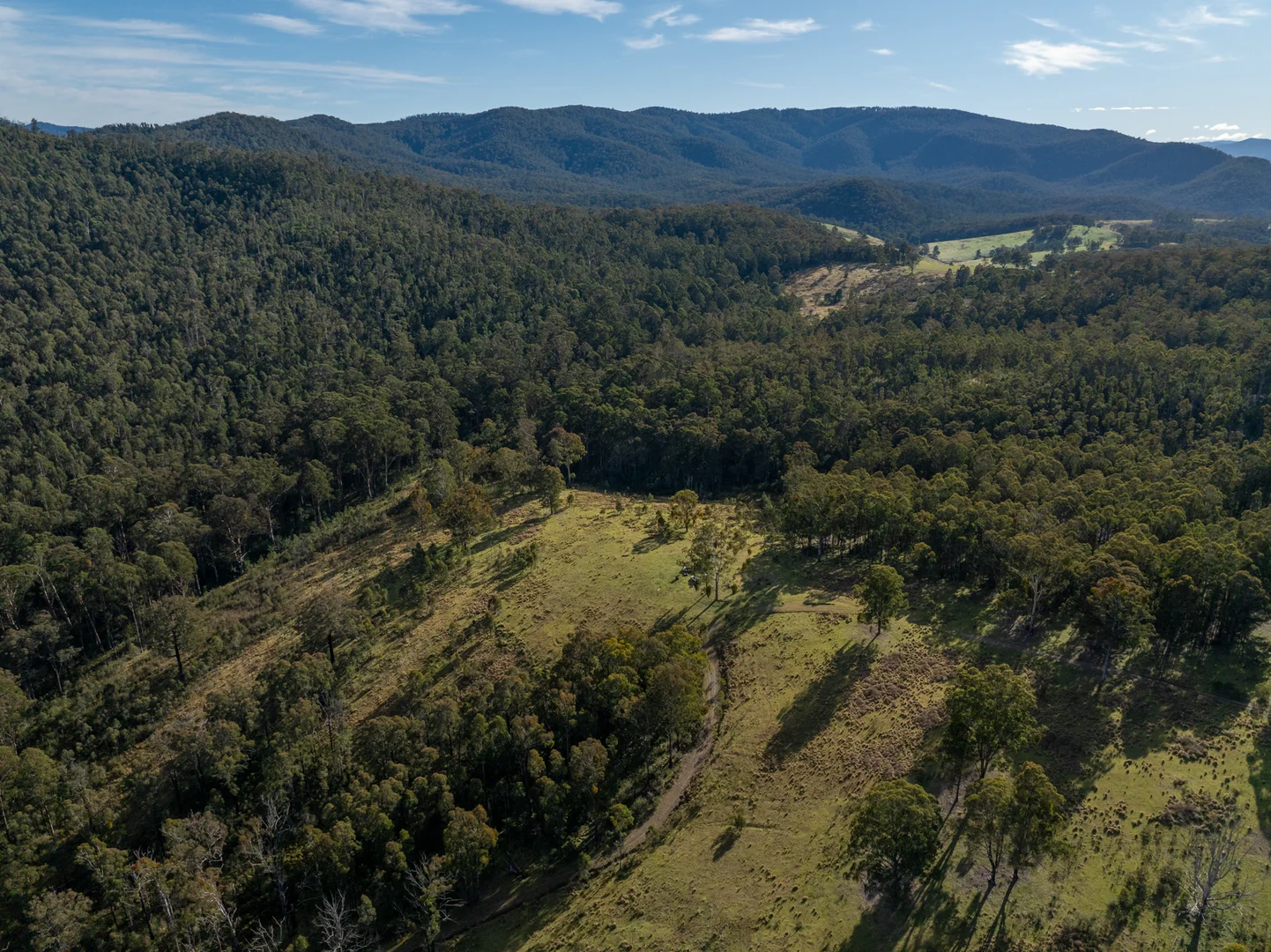 Additional image 6 of 3954 Tulloch Ard Road, Buchan VIC 3885