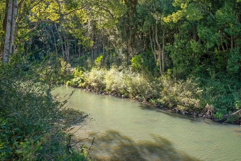 Additional image 28 of 412 Repentance Creek Road, Repentance Creek NSW 2480