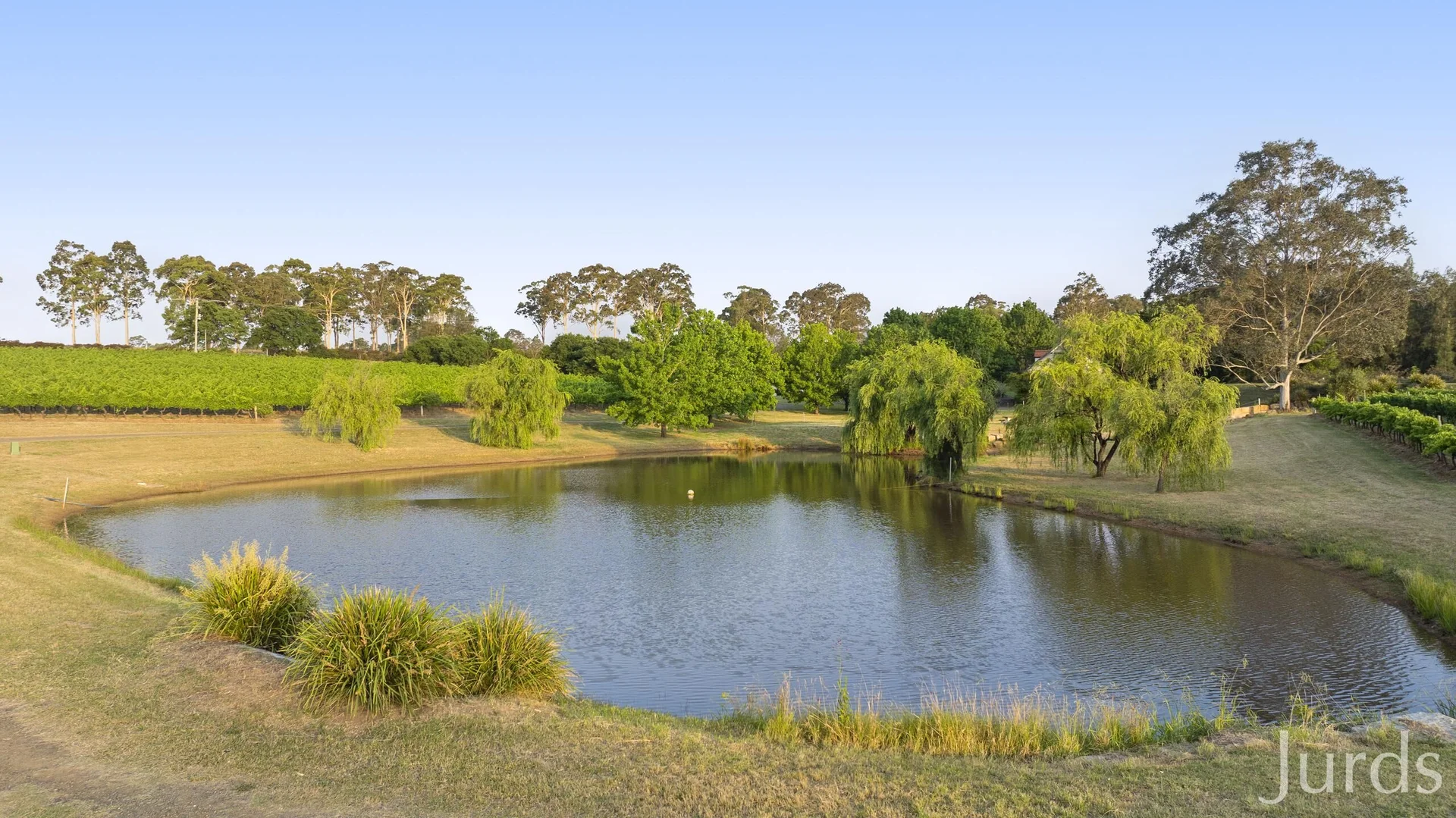 Additional image 33 of 110 Old North Road, Pokolbin NSW 2320