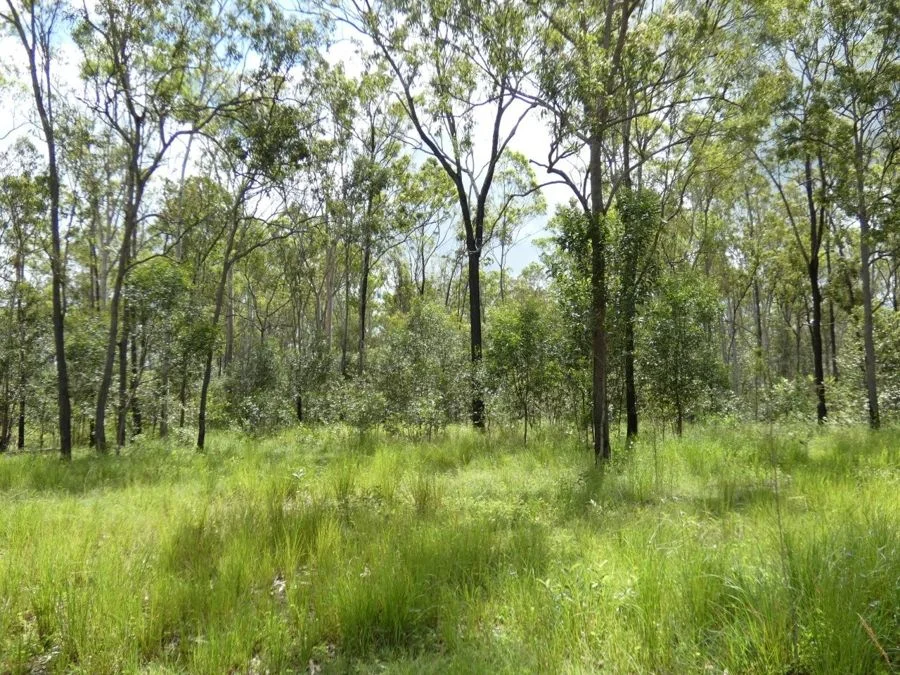 Additional image 15 of 397 Mollenhagens Road, Rosedale QLD 4674