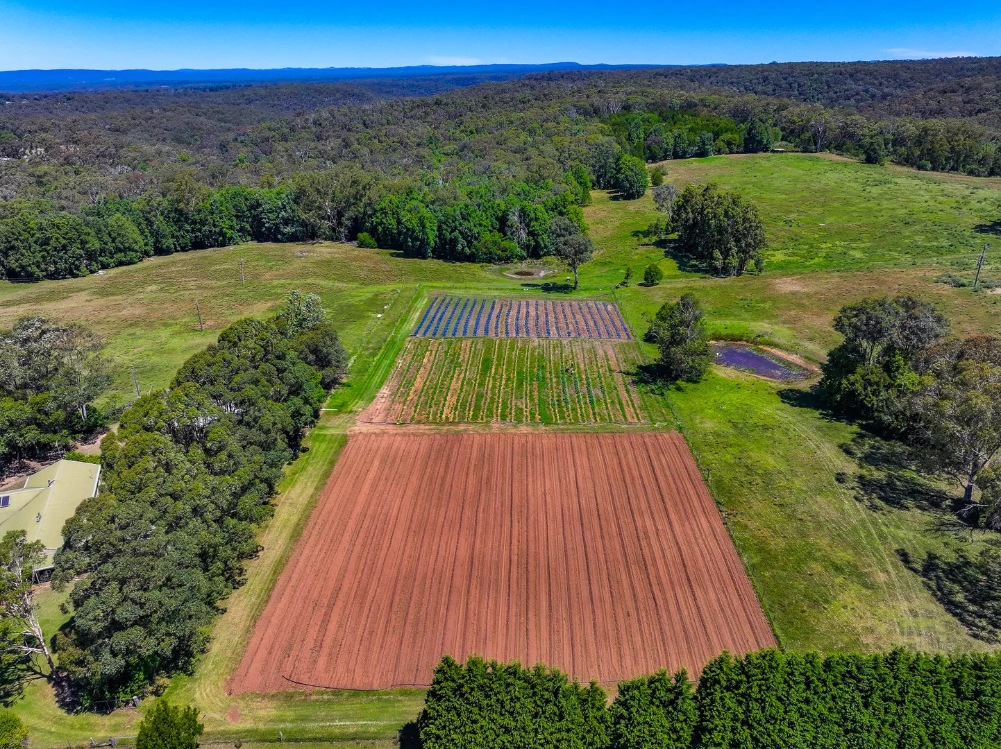 Additional image 3 of 135 Lyons Road, Lakesland NSW 2572