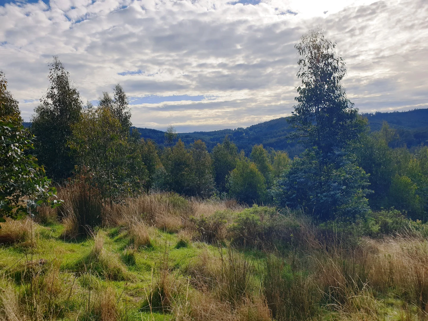 Additional image 5 of Lot 8 Paddys Lane, Franklin TAS 7113