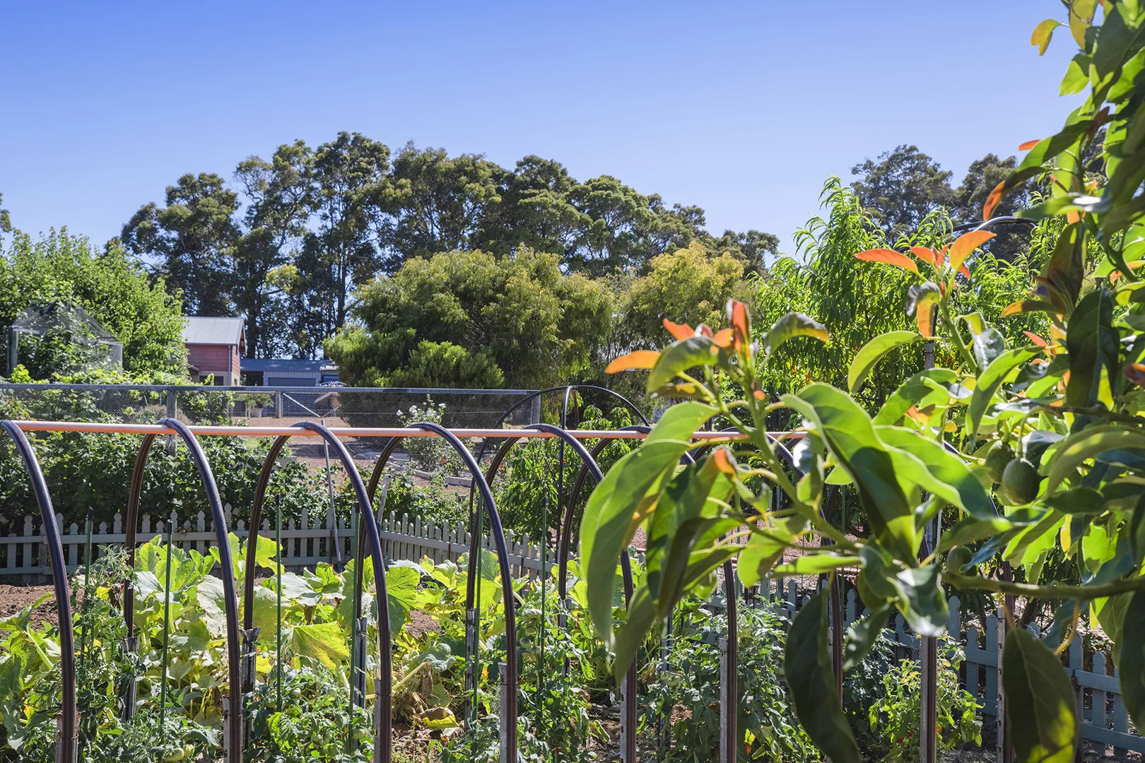 Additional image 24 of 2 Copse Way, Cowaramup WA 6284